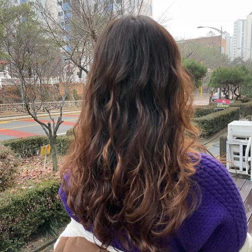 살롱보뇌르 이미지