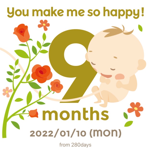 스튜디오밤부 이미지