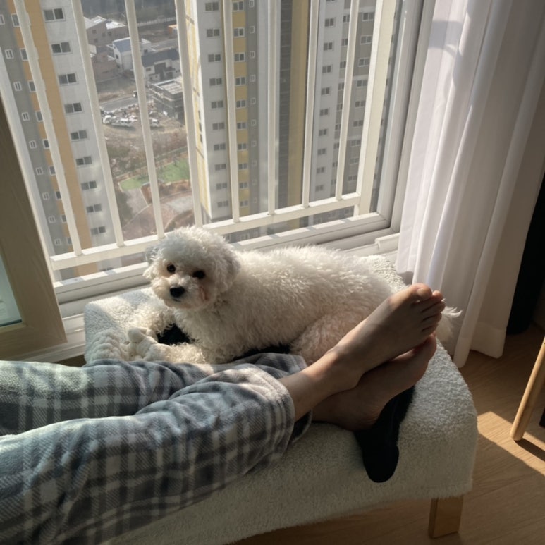 깨비놀이터 이미지