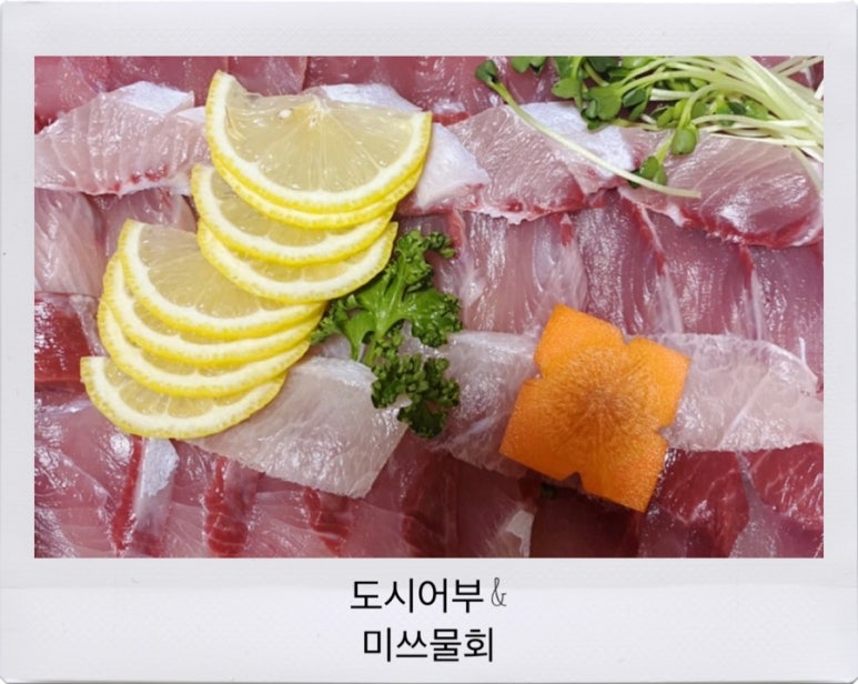 도시어부&미쓰물회 이미지