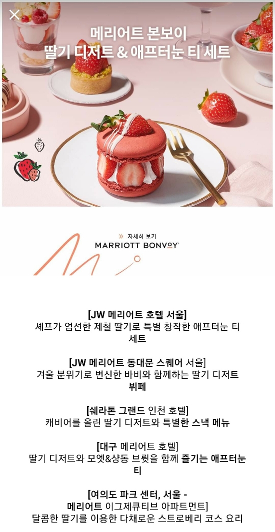 샐러피 이미지