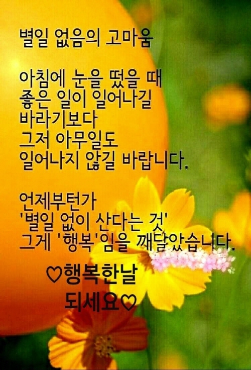 잔결 이미지