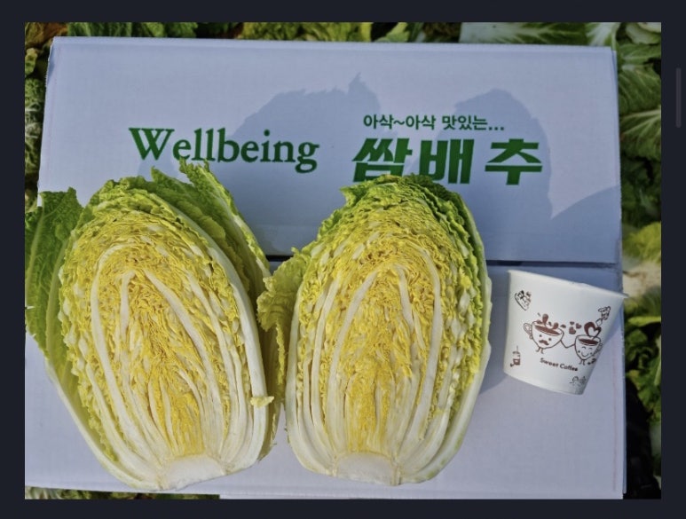 참살이 농산물 이미지