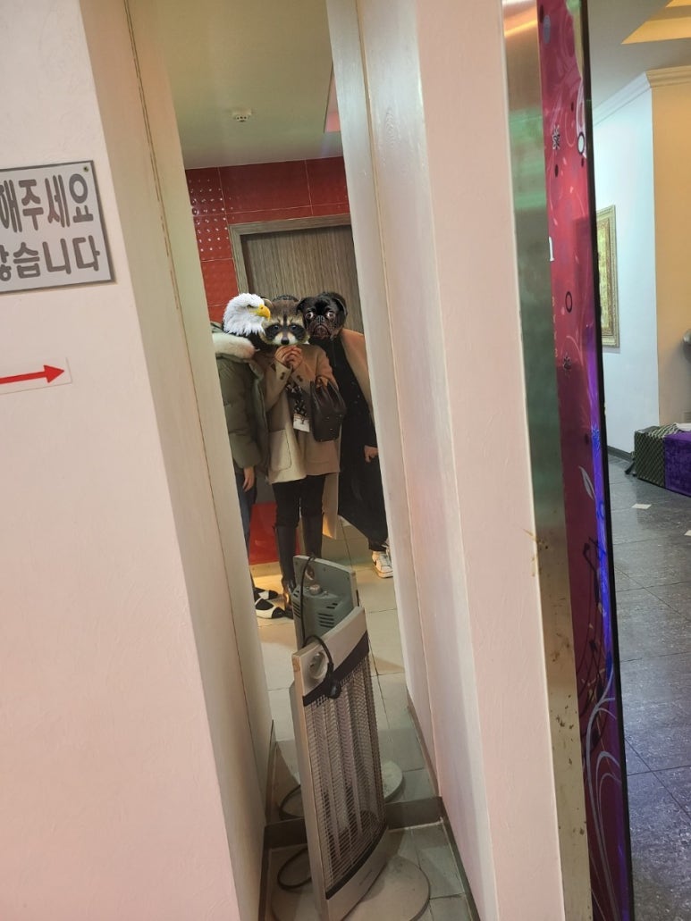 너구리노래연습장 이미지