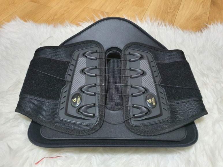 ORTEC 이미지