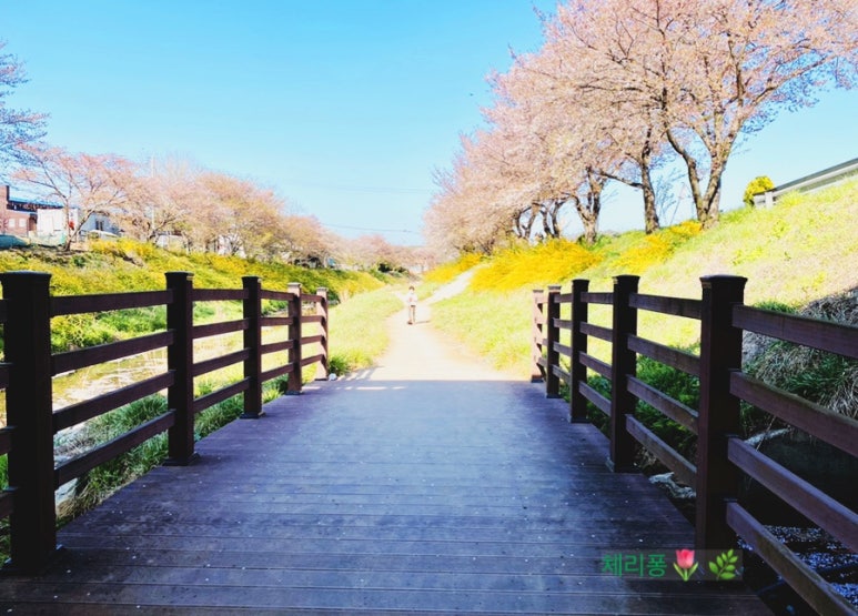 디저트39(충남당진점) 이미지