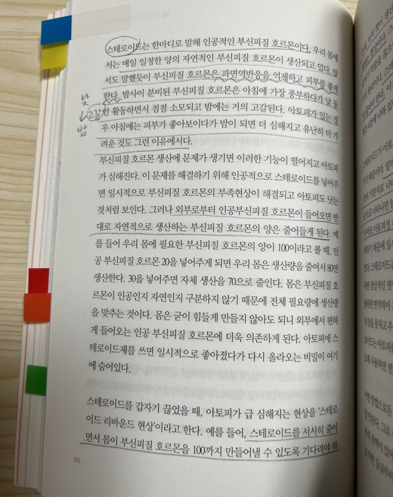 홍리 이미지