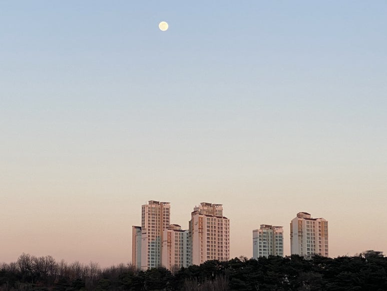 피자나라치킨공주 광교하동점 이미지