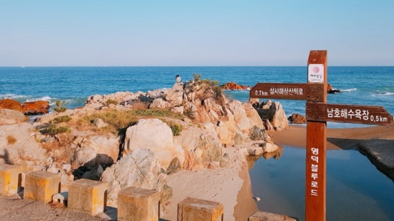해파랑길 19코스 영덕 블루로드 D 이미지