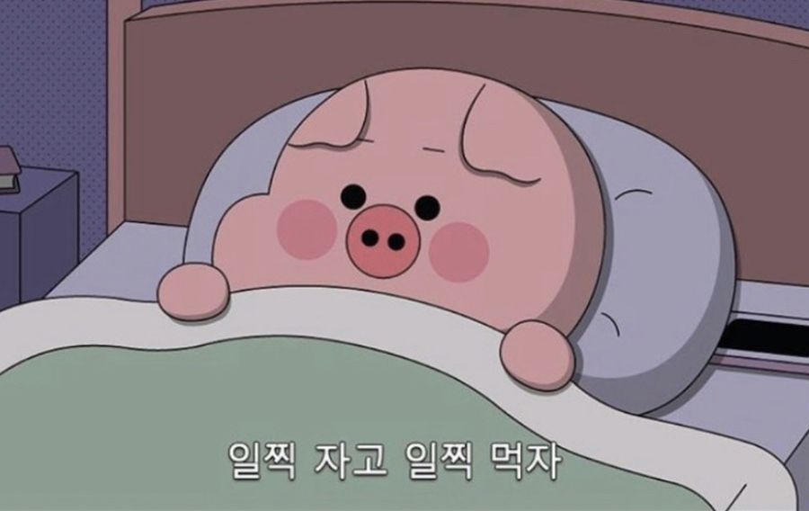 삼정분식 이미지