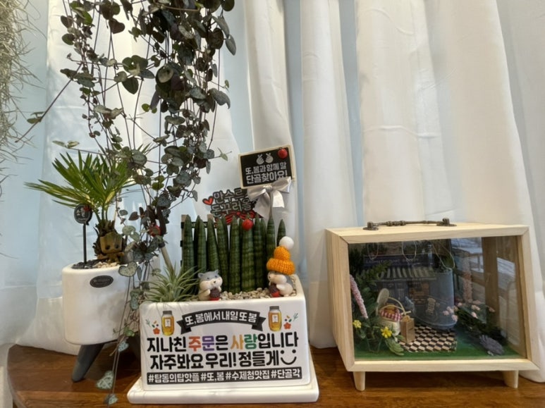 까페또봄 이미지