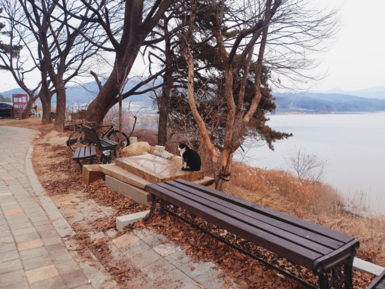 동림의서재 이미지