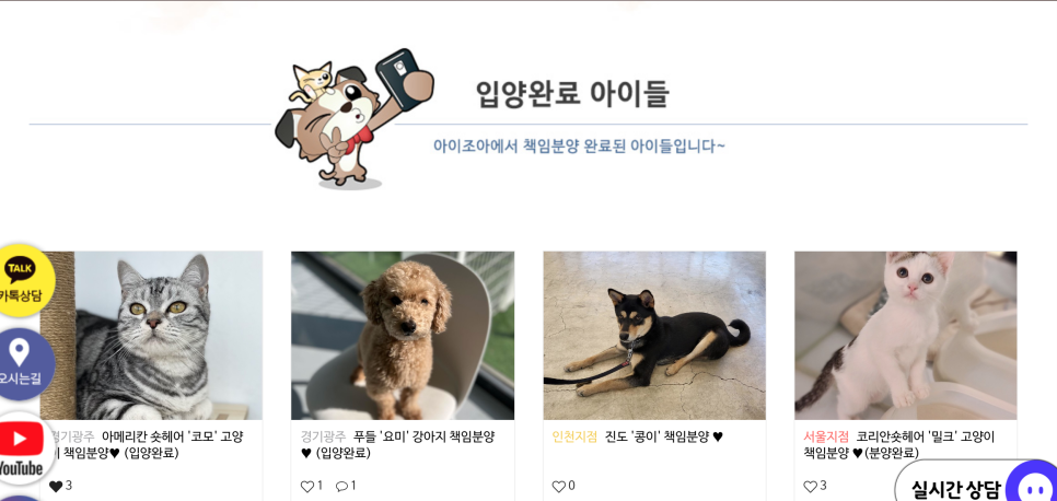 용기조아 이미지