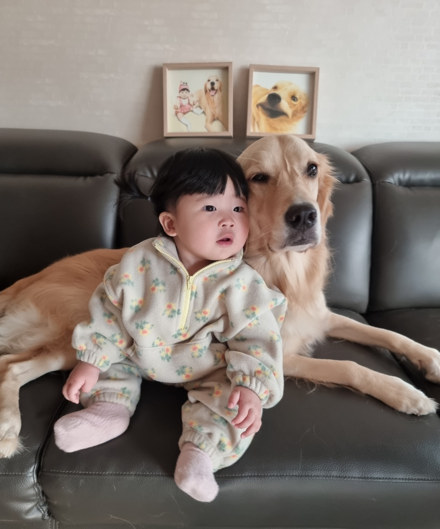 우아블리 이미지