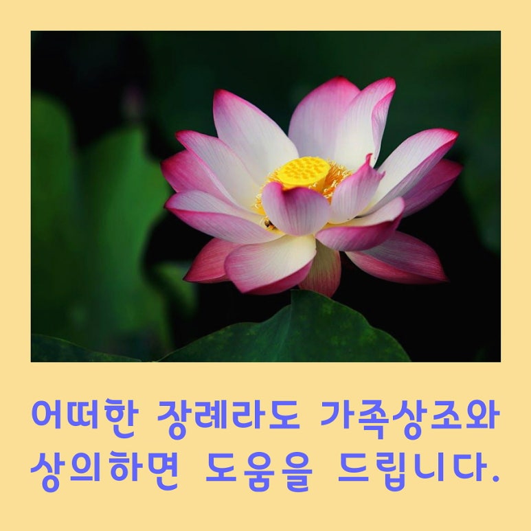 대청병원장례식장 이미지
