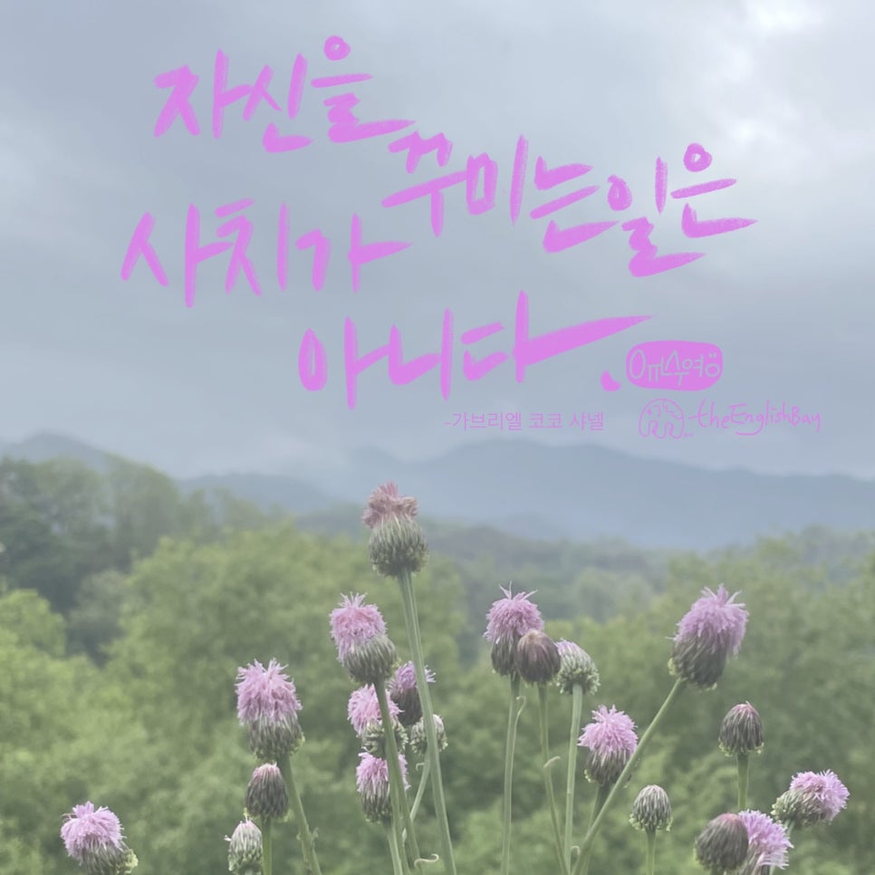 숙이언니 이미지