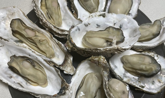 쿡통영 이미지