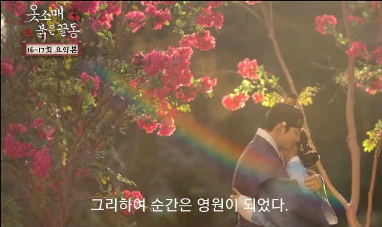 준호갤러리 이미지