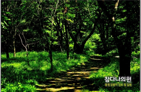 참다나의원 이미지