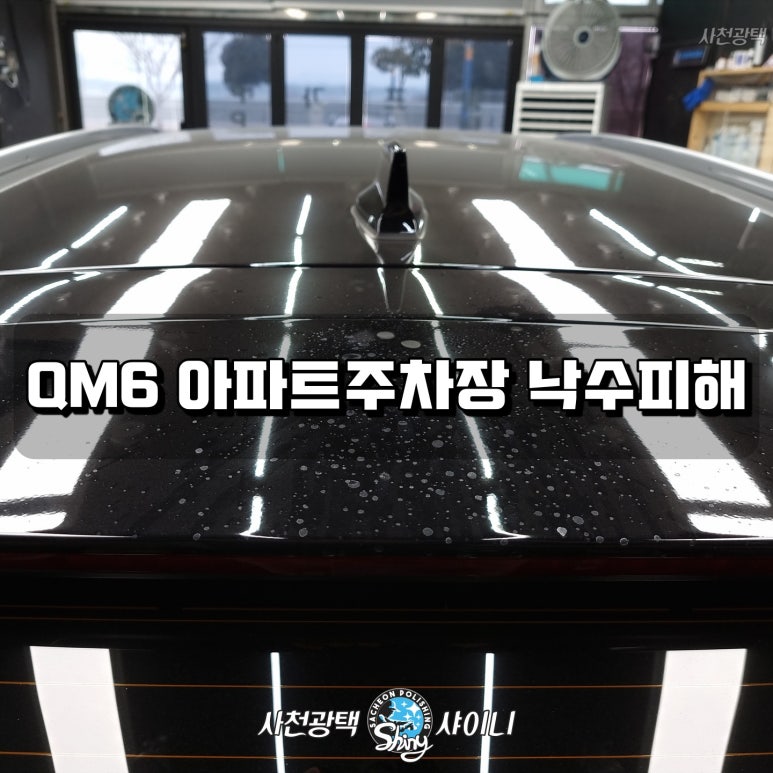 사천광택샤이니 이미지