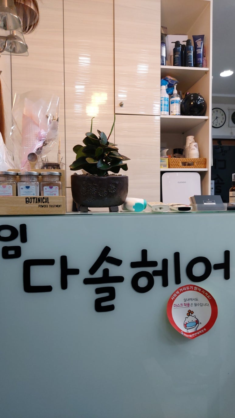임다솔 헤어 이미지