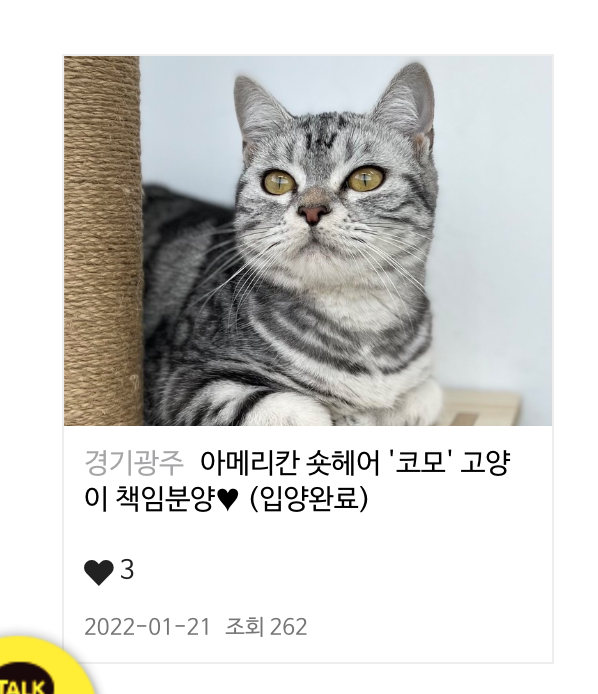 용기조아 이미지