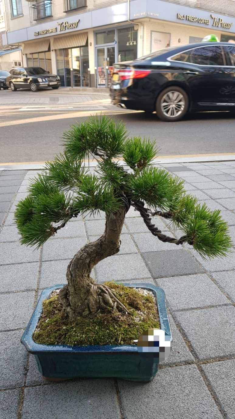재화꽃화원 이미지