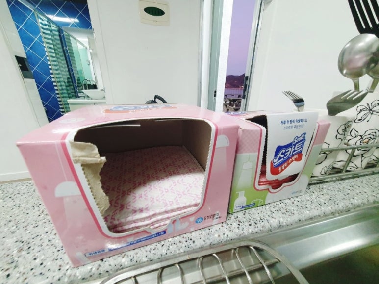 락스파펜션 이미지