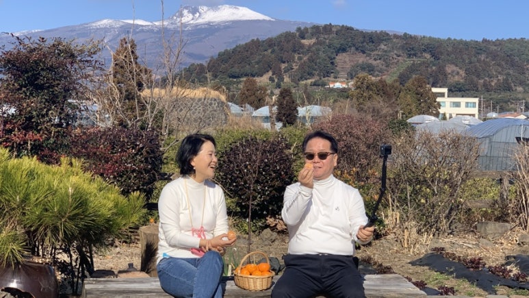 자인빌리지펜션 이미지