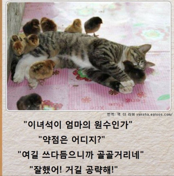 카네이도 이미지