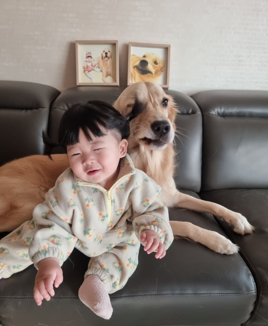 우아블리 이미지