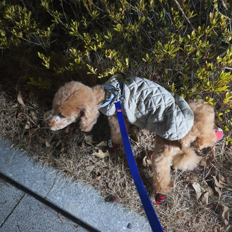 지구산책 이미지