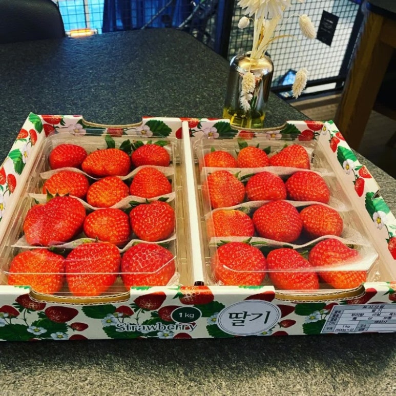 (주)범주 이미지