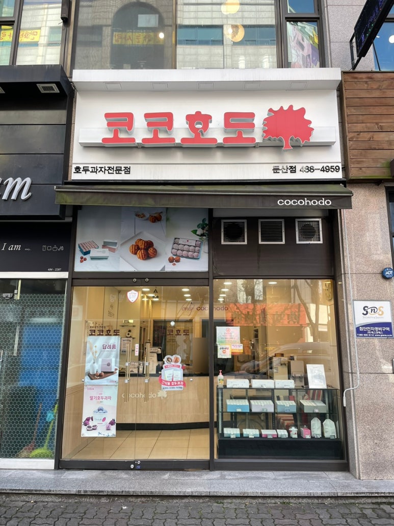 코코호도 둔산점 이미지