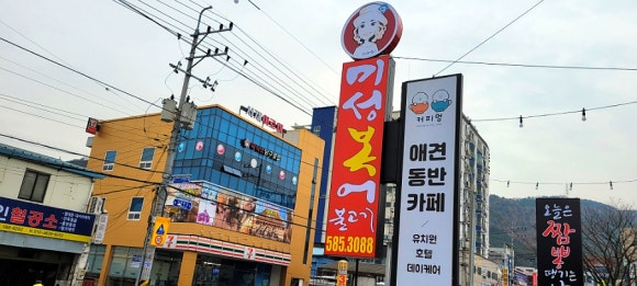 미성복어다사 이미지