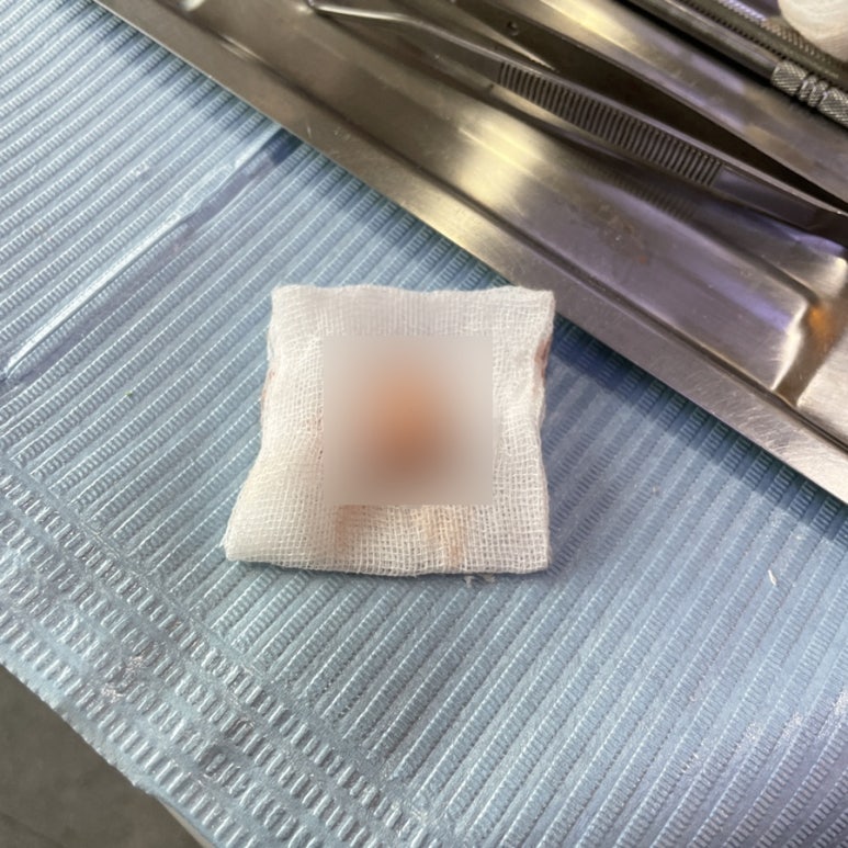 성산부부치과 이미지