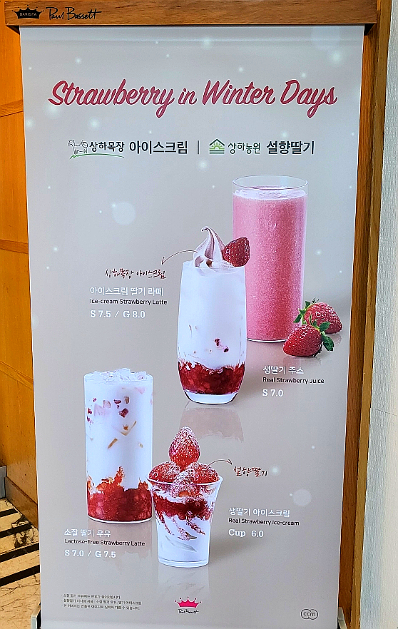 폴바셋부산해운대아이파크점 이미지