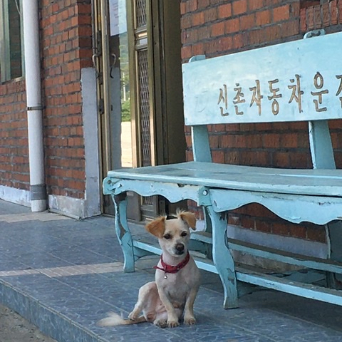 신촌자동차운전전문학원 이미지