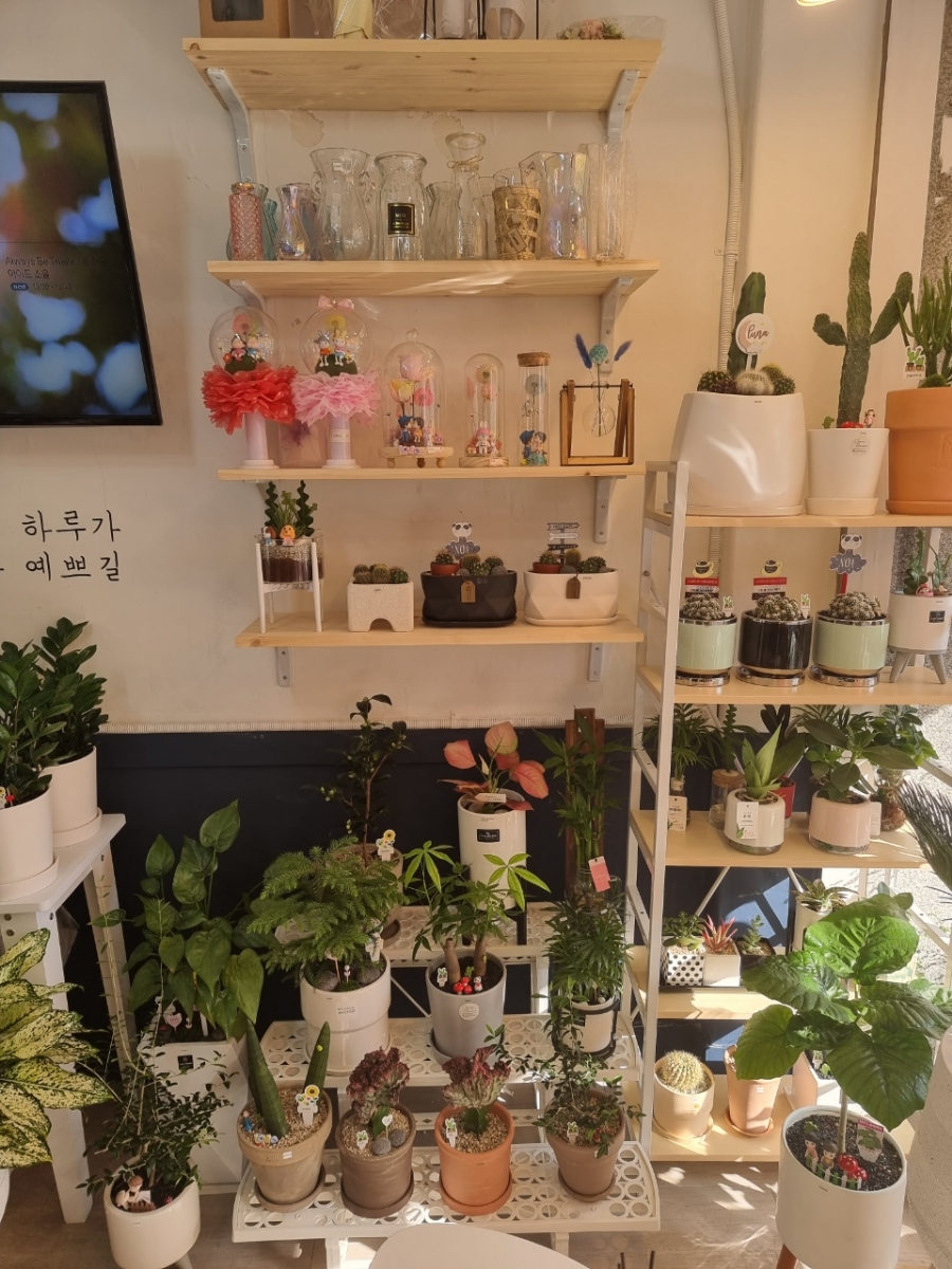 그날;그꽃 이미지