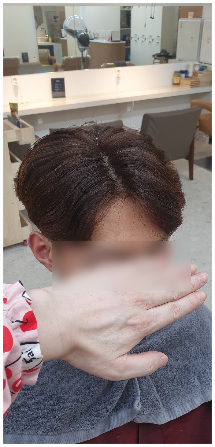 단비(dan:B) 이미지