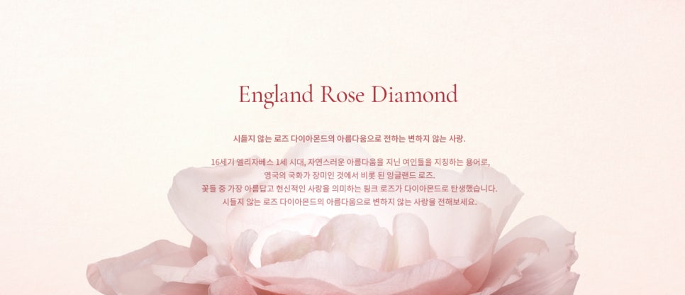 로즈다이아몬드 이미지