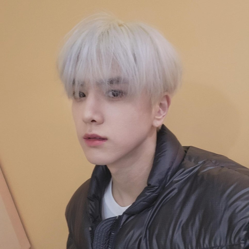 골목집 이미지