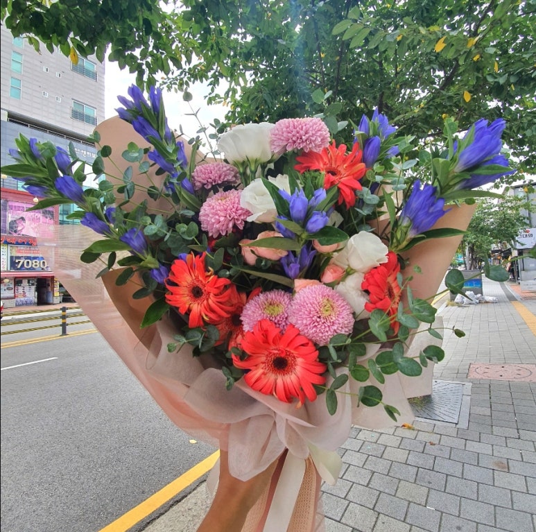 르코스모스 이미지