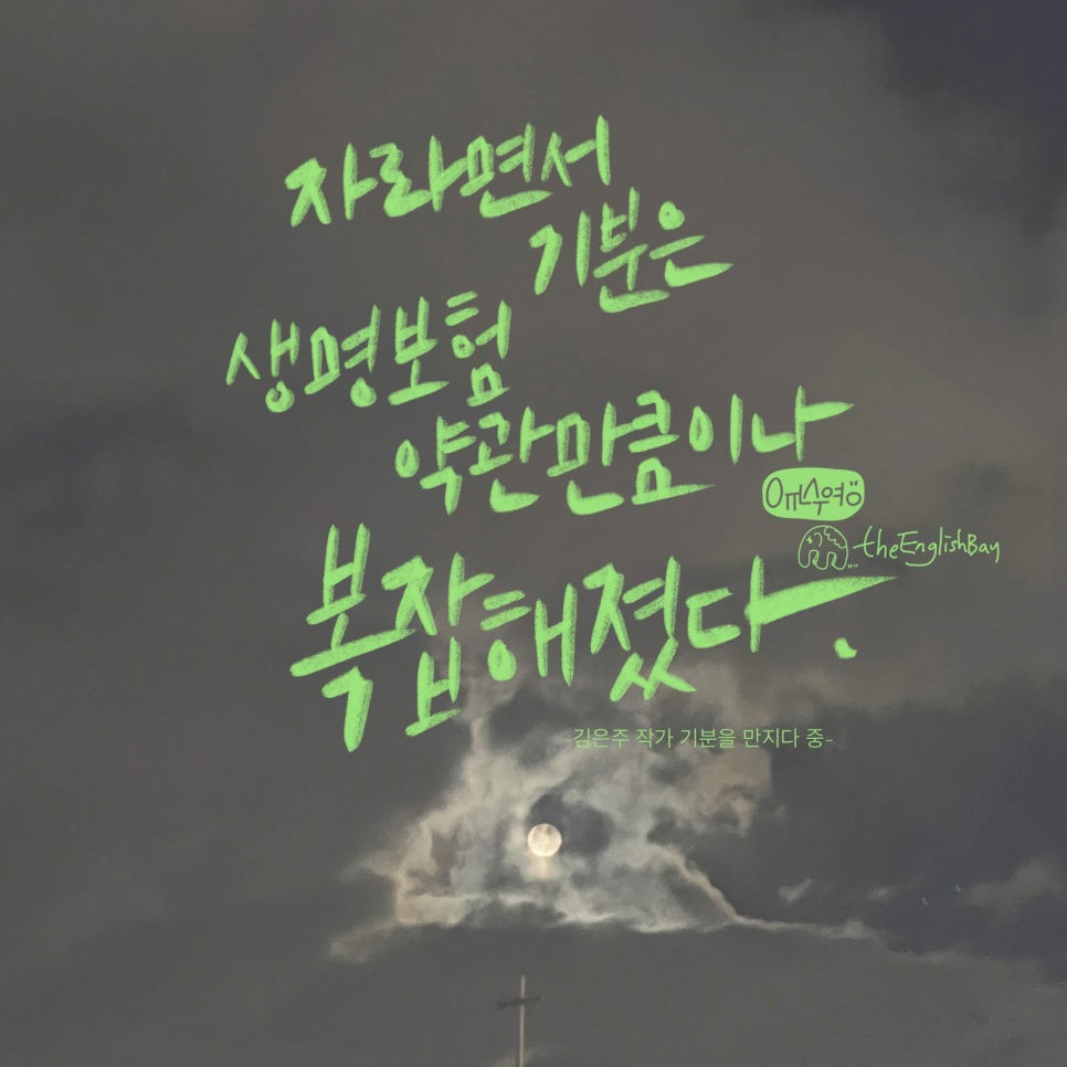 숙이언니 이미지