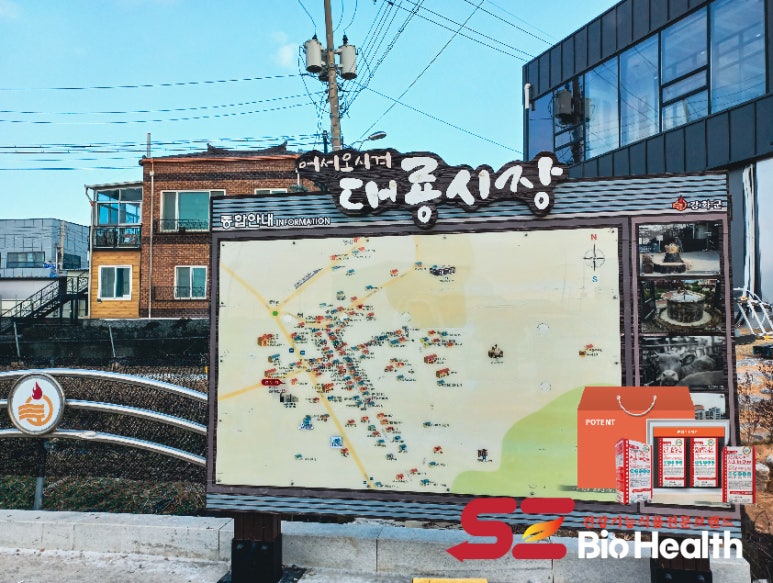 에스지투어 이미지