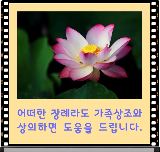 원광종합병원 장례식장 이미지