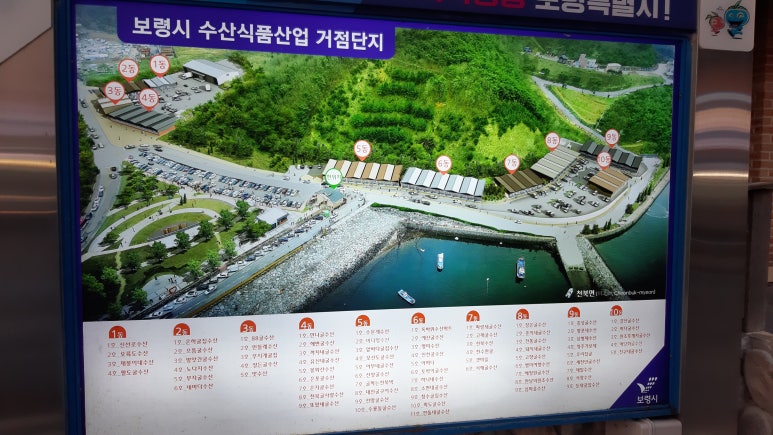 원조등대수산 이미지