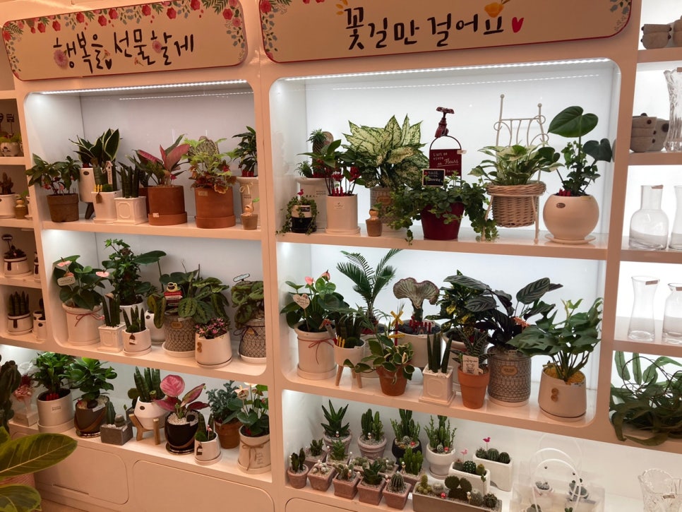 터미널꽃집 이미지