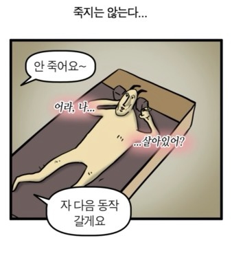 스피어프로젝트 이미지