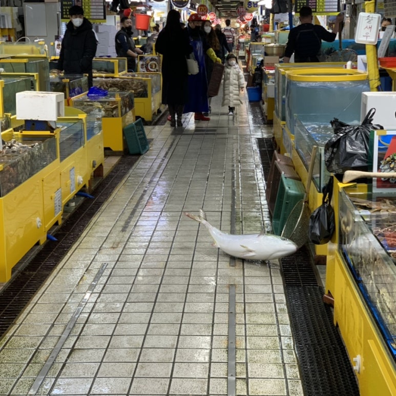 철이네수산 이미지